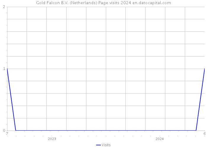 Gold Falcon B.V. (Netherlands) Page visits 2024 