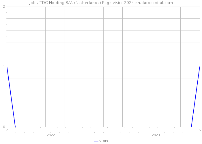 Joli's TDC Holding B.V. (Netherlands) Page visits 2024 