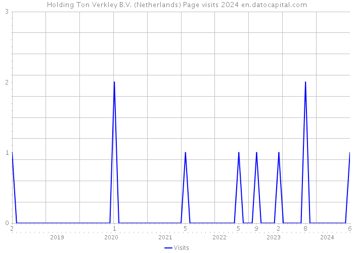 Holding Ton Verkley B.V. (Netherlands) Page visits 2024 