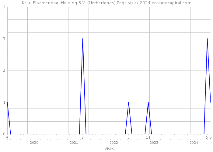 Krijt-Bloemendaal Holding B.V. (Netherlands) Page visits 2024 