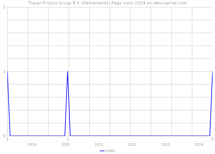 Topaz Project Group B.V. (Netherlands) Page visits 2024 