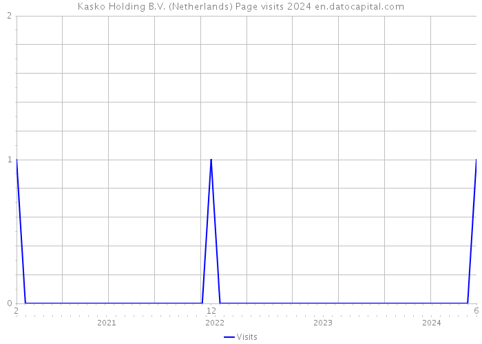 Kasko Holding B.V. (Netherlands) Page visits 2024 
