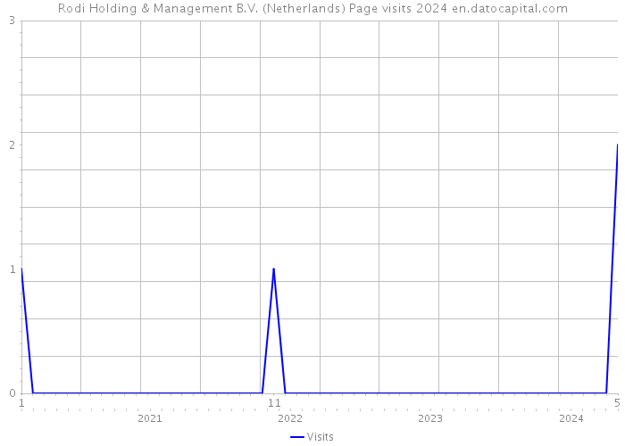 Rodi Holding & Management B.V. (Netherlands) Page visits 2024 