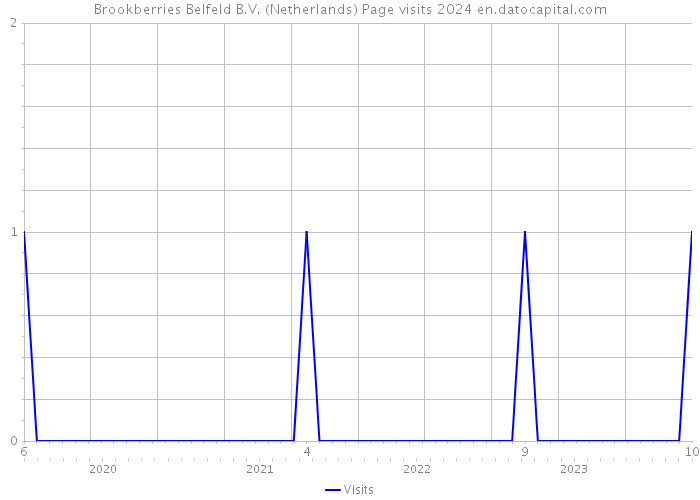 Brookberries Belfeld B.V. (Netherlands) Page visits 2024 