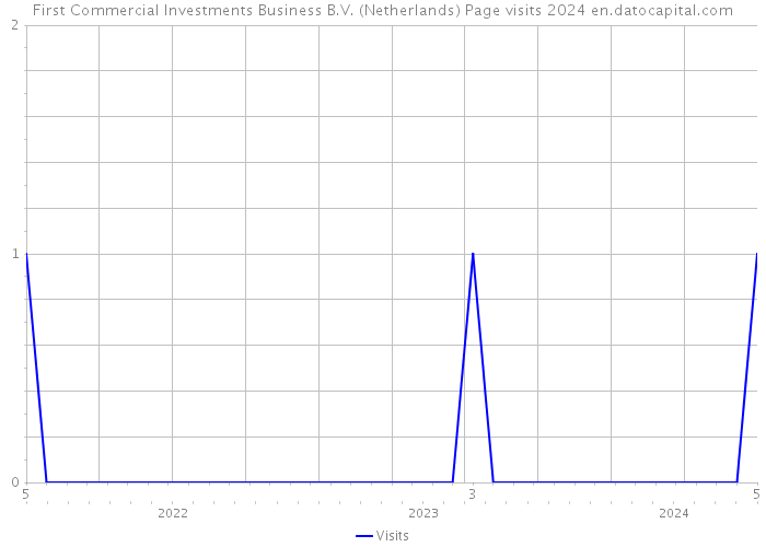 First Commercial Investments Business B.V. (Netherlands) Page visits 2024 