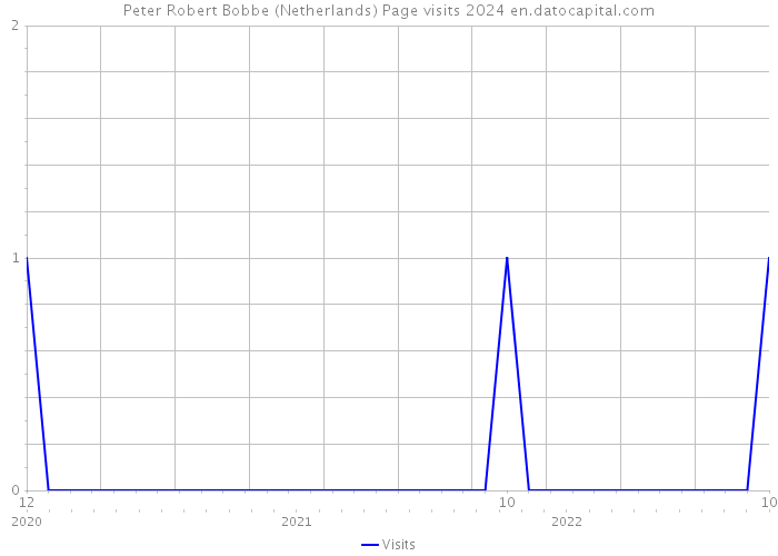 Peter Robert Bobbe (Netherlands) Page visits 2024 
