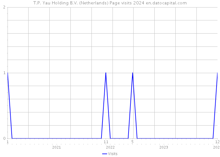 T.P. Yau Holding B.V. (Netherlands) Page visits 2024 