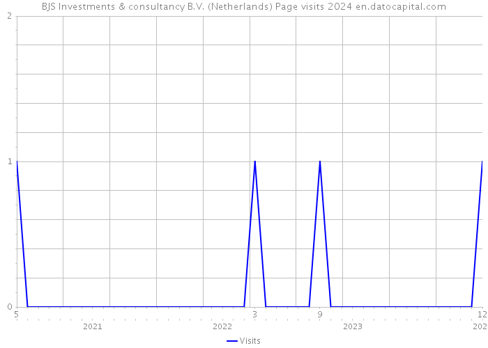 BJS Investments & consultancy B.V. (Netherlands) Page visits 2024 