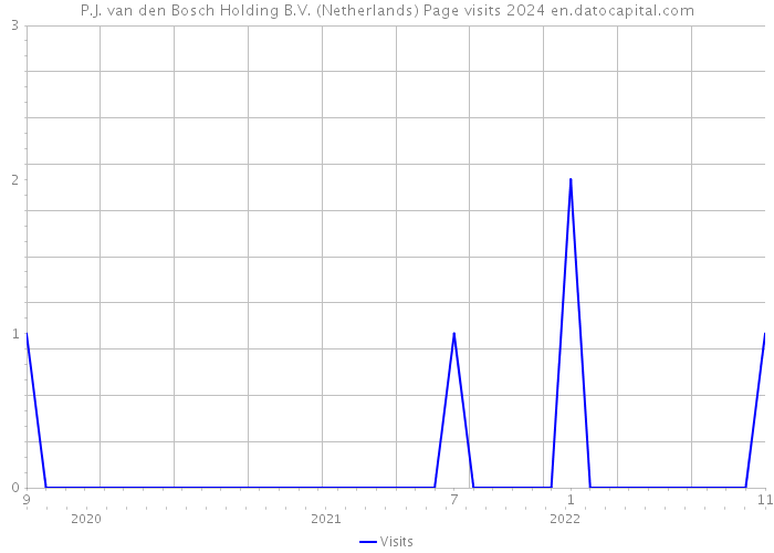 P.J. van den Bosch Holding B.V. (Netherlands) Page visits 2024 