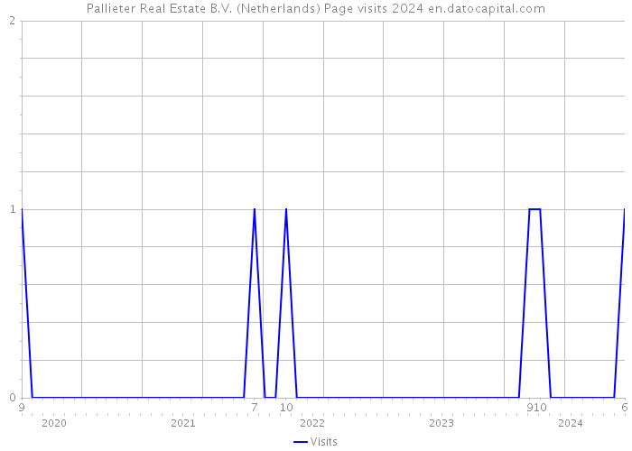 Pallieter Real Estate B.V. (Netherlands) Page visits 2024 
