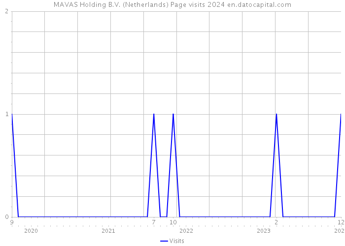 MAVAS Holding B.V. (Netherlands) Page visits 2024 