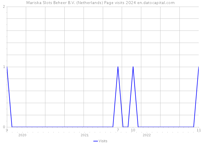 Mariska Slots Beheer B.V. (Netherlands) Page visits 2024 