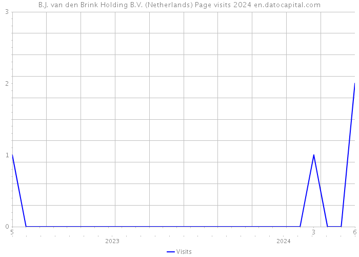 B.J. van den Brink Holding B.V. (Netherlands) Page visits 2024 