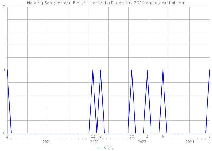 Holding Bergs Helden B.V. (Netherlands) Page visits 2024 