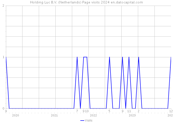 Holding Luc B.V. (Netherlands) Page visits 2024 