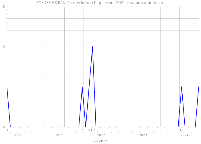FYSIO 058 B.V. (Netherlands) Page visits 2024 