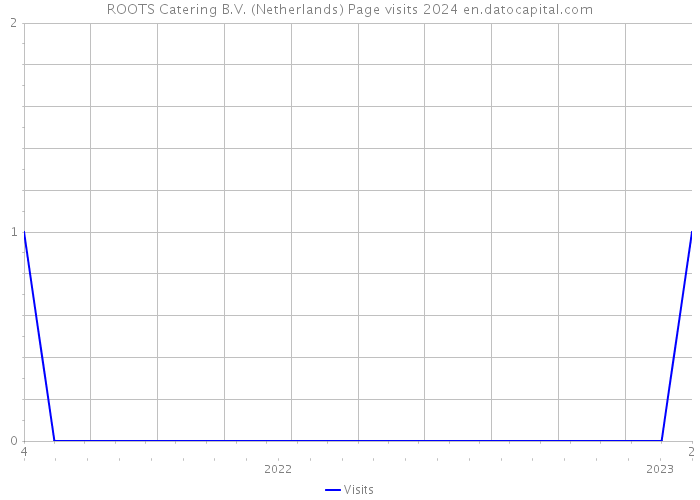 ROOTS Catering B.V. (Netherlands) Page visits 2024 