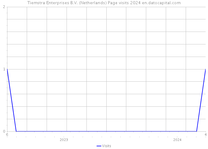 Tiemstra Enterprises B.V. (Netherlands) Page visits 2024 