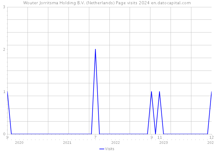 Wouter Jorritsma Holding B.V. (Netherlands) Page visits 2024 