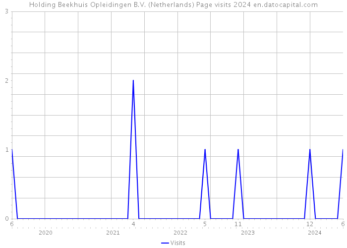 Holding Beekhuis Opleidingen B.V. (Netherlands) Page visits 2024 