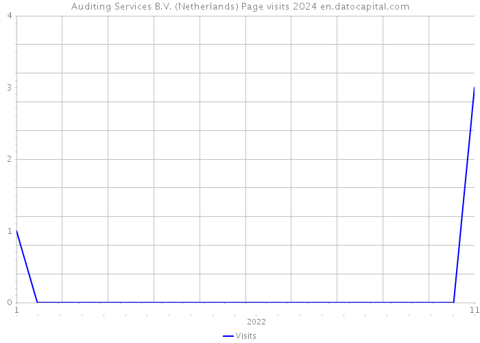 Auditing Services B.V. (Netherlands) Page visits 2024 