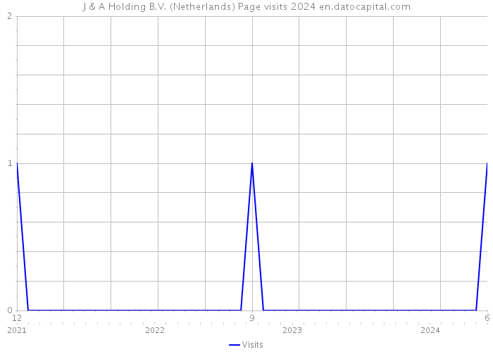 J & A Holding B.V. (Netherlands) Page visits 2024 