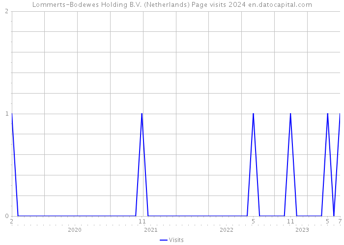Lommerts-Bodewes Holding B.V. (Netherlands) Page visits 2024 