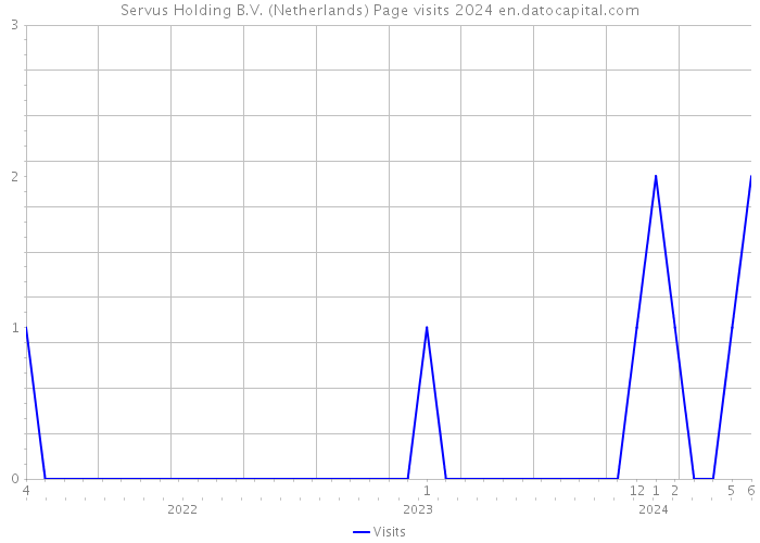 Servus Holding B.V. (Netherlands) Page visits 2024 
