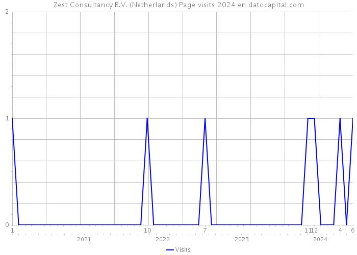 Zest Consultancy B.V. (Netherlands) Page visits 2024 