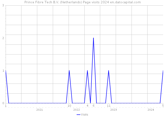 Prince Fibre Tech B.V. (Netherlands) Page visits 2024 