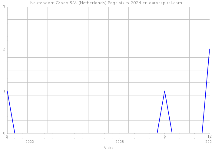Neuteboom Groep B.V. (Netherlands) Page visits 2024 
