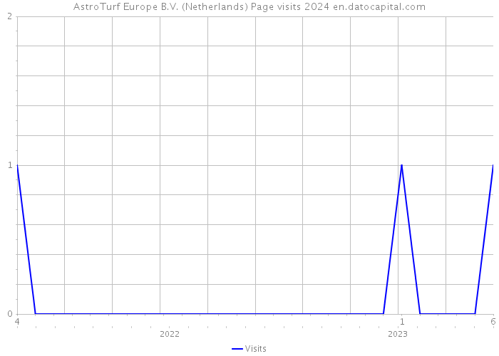 AstroTurf Europe B.V. (Netherlands) Page visits 2024 