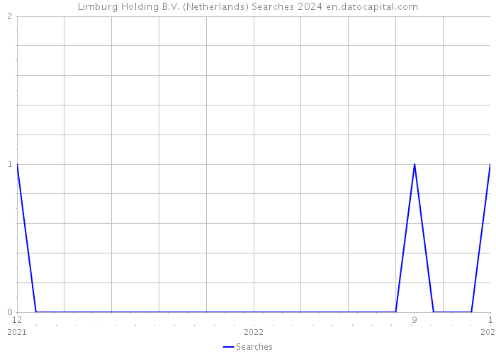 Limburg Holding B.V. (Netherlands) Searches 2024 