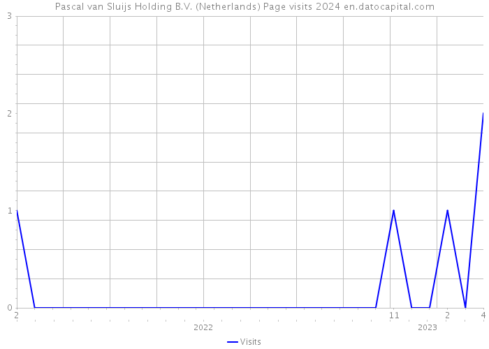 Pascal van Sluijs Holding B.V. (Netherlands) Page visits 2024 