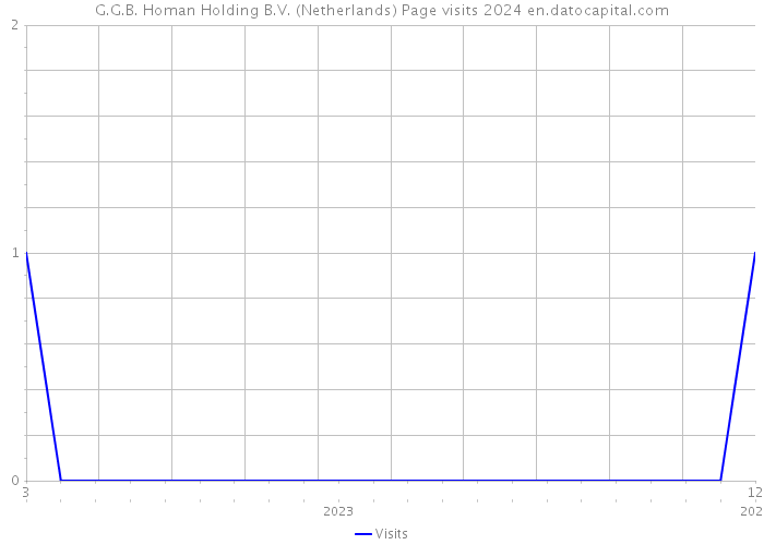 G.G.B. Homan Holding B.V. (Netherlands) Page visits 2024 