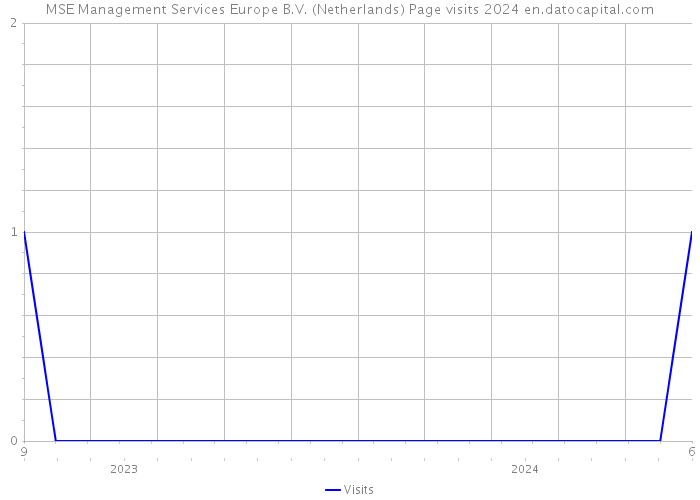 MSE Management Services Europe B.V. (Netherlands) Page visits 2024 