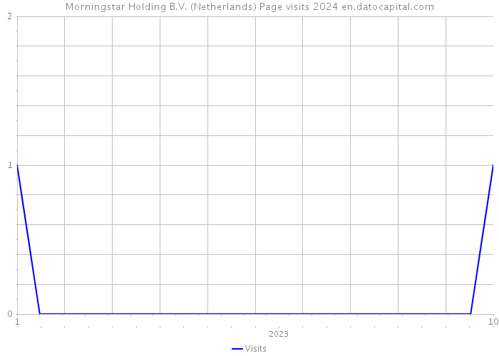 Morningstar Holding B.V. (Netherlands) Page visits 2024 