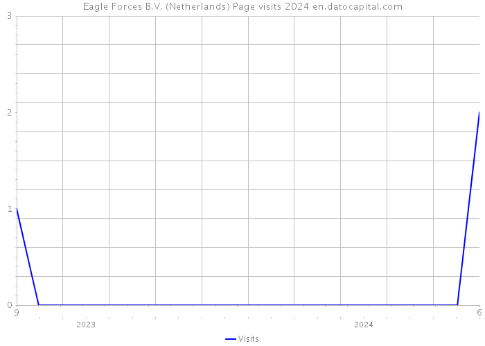 Eagle Forces B.V. (Netherlands) Page visits 2024 