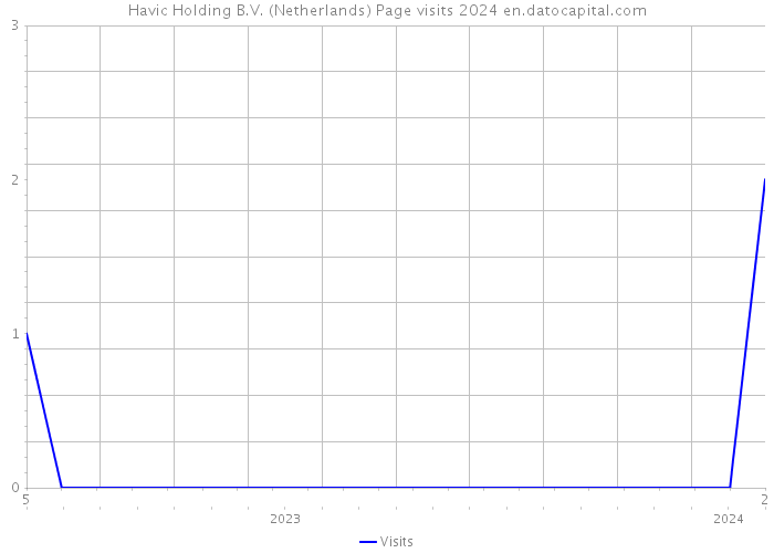 Havic Holding B.V. (Netherlands) Page visits 2024 