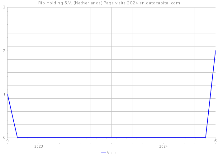Rib Holding B.V. (Netherlands) Page visits 2024 