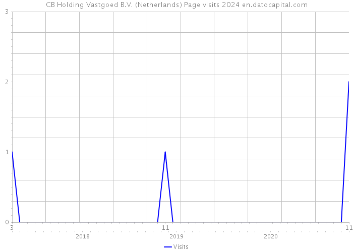 CB Holding Vastgoed B.V. (Netherlands) Page visits 2024 