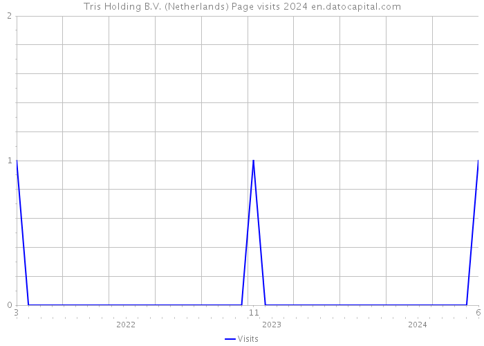 Tris Holding B.V. (Netherlands) Page visits 2024 