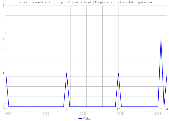 Libero Commodities Holdings B.V. (Netherlands) Page visits 2024 