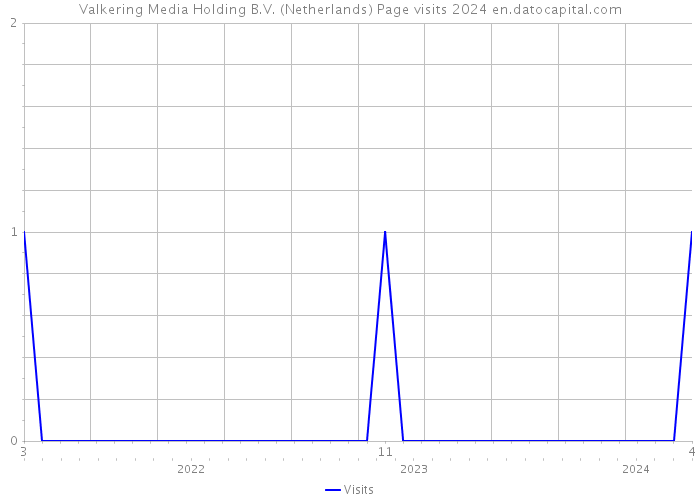 Valkering Media Holding B.V. (Netherlands) Page visits 2024 