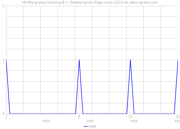 HS Margraten Holding B.V. (Netherlands) Page visits 2024 