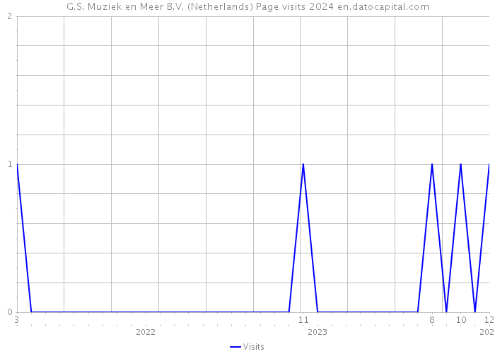 G.S. Muziek en Meer B.V. (Netherlands) Page visits 2024 