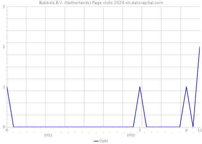 Bubbels B.V. (Netherlands) Page visits 2024 