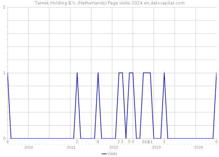 Tamek Holding B.V. (Netherlands) Page visits 2024 