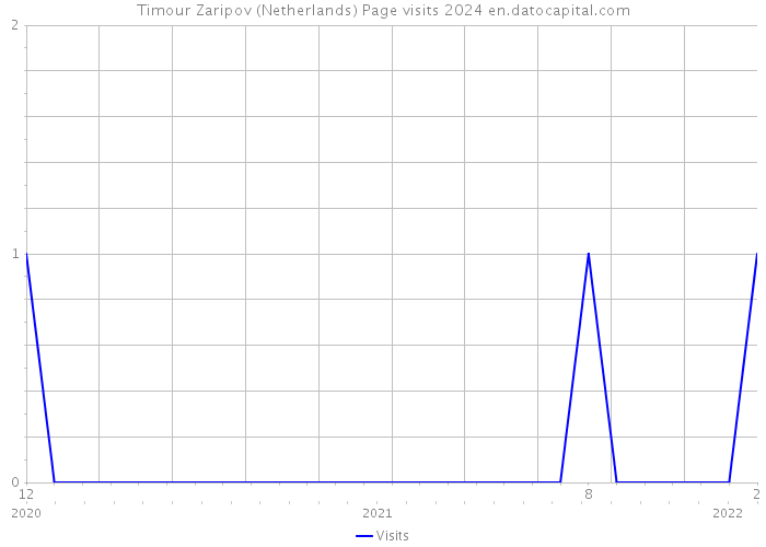 Timour Zaripov (Netherlands) Page visits 2024 