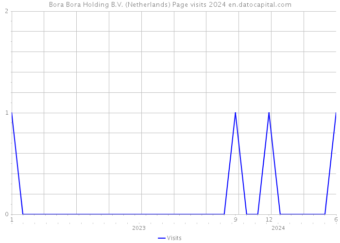 Bora Bora Holding B.V. (Netherlands) Page visits 2024 